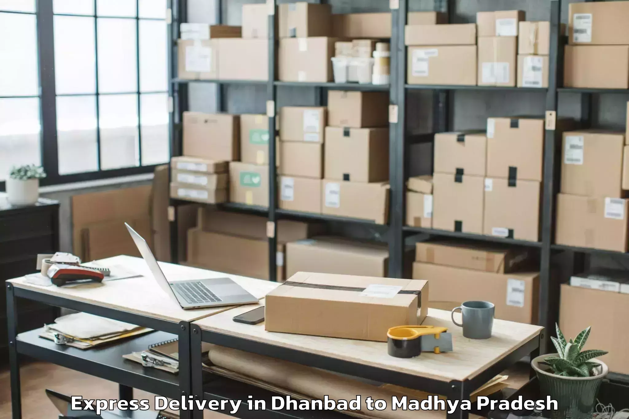 Book Dhanbad to Madhyanchal Professional Unive Express Delivery Online